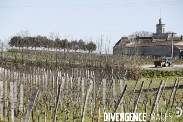 Crise du vin dans le bordelais