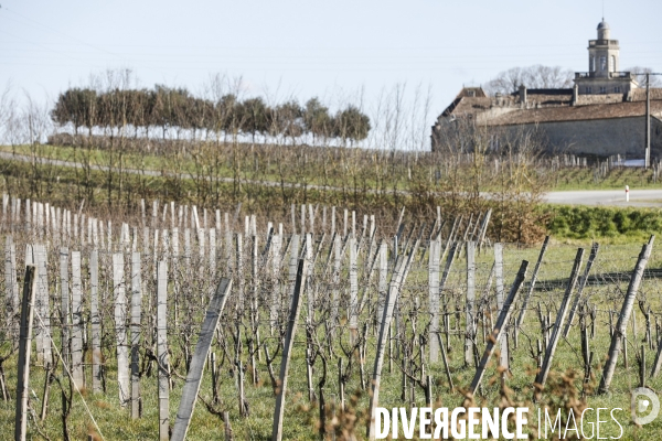 Crise du vin dans le bordelais