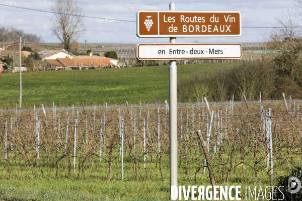 Crise du vin dans le bordelais