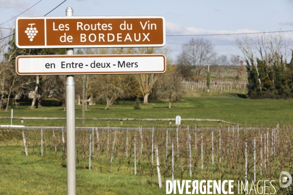 Crise du vin dans le bordelais