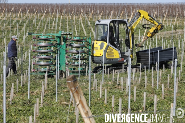 Crise du vin dans le bordelais