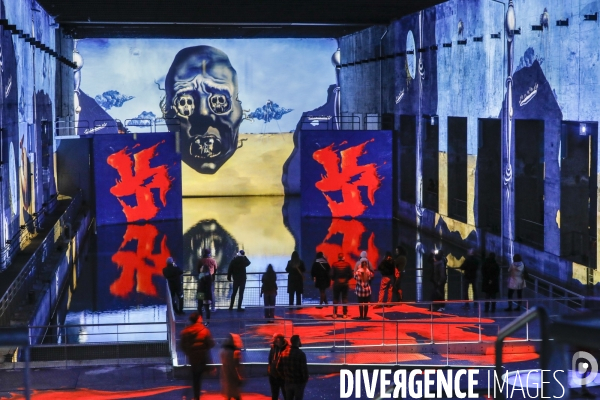 Expo immersive sur Salvadore DALI à Bordeaux