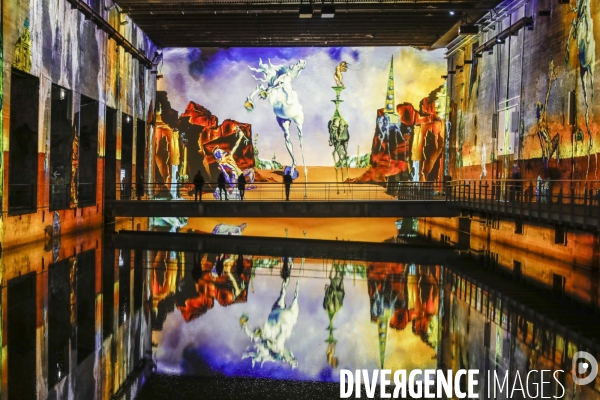 Expo immersive sur Salvadore DALI à Bordeaux