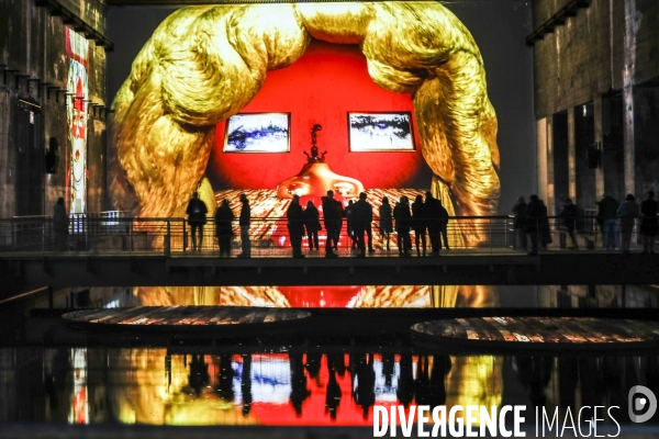 Expo immersive sur Salvadore DALI à Bordeaux