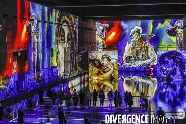 Expo immersive sur Salvadore DALI à Bordeaux