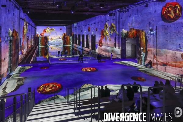 Expo immersive sur Salvadore DALI à Bordeaux