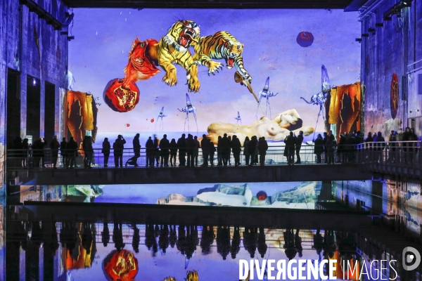 Expo immersive sur Salvadore DALI à Bordeaux