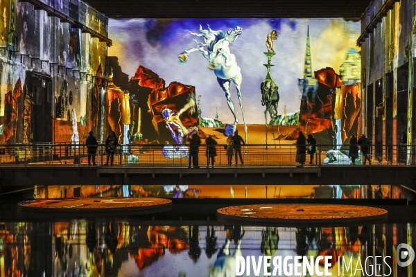 Expo immersive sur Salvadore DALI à Bordeaux