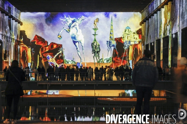 Expo immersive sur Salvadore DALI à Bordeaux