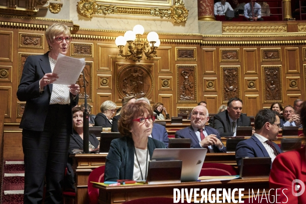 Sénat premier jour reforme des retraites