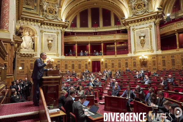 Sénat premier jour reforme des retraites