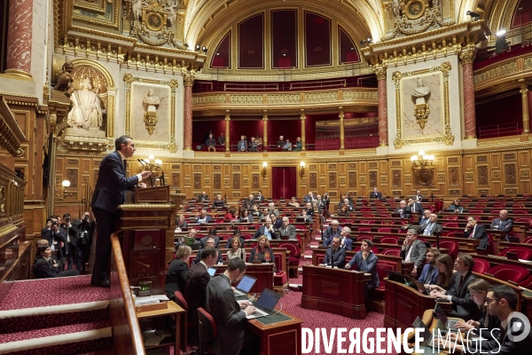 Sénat premier jour reforme des retraites