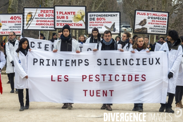 Action printemps silencieux