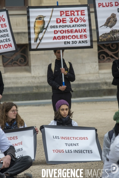 Action printemps silencieux