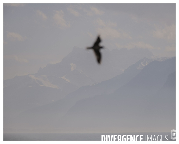 Un Conte en Suisse