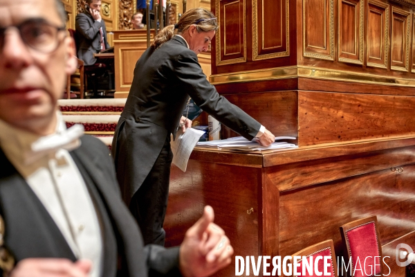 Sénat dimanche 5 mars session reforme des retraites