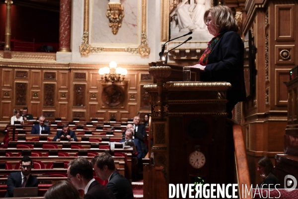 Une journee au senat