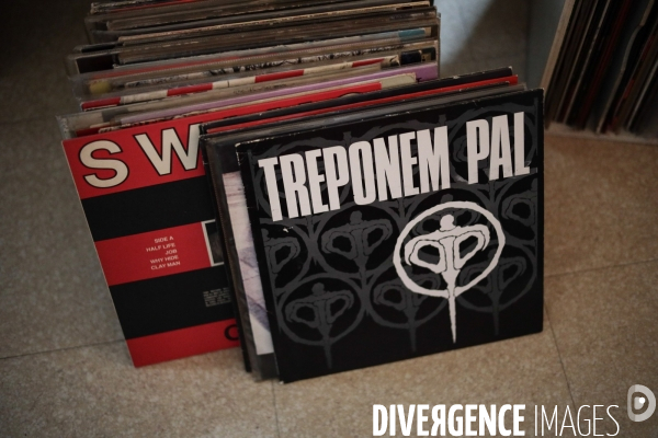 Treponem pal