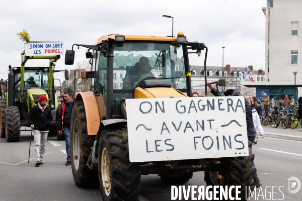 Manifestation contre la réforme des retraites à Nantes
