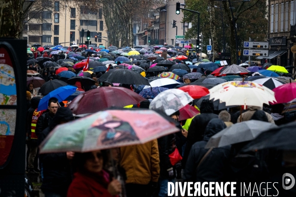 Toulouse : grande manifestation contre la reforme de la retraite