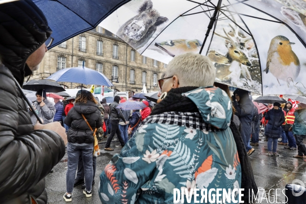 Bordeaux, 6 ème manifestation unitaire  contre la réforme des retraites.