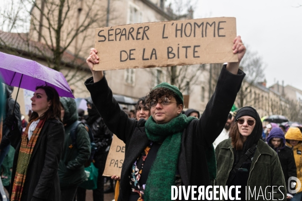 Greve feministe Dijon