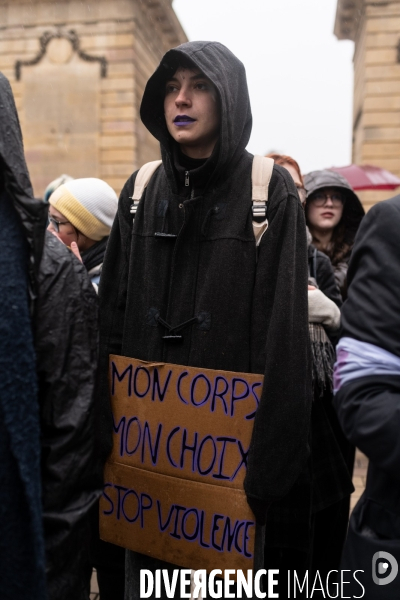 Greve feministe Dijon