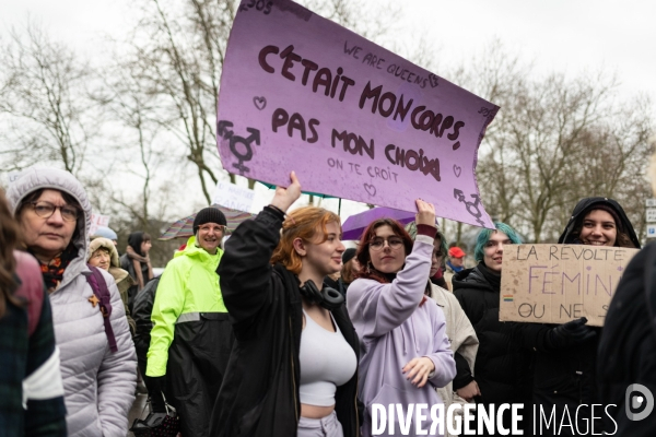 Greve feministe Dijon