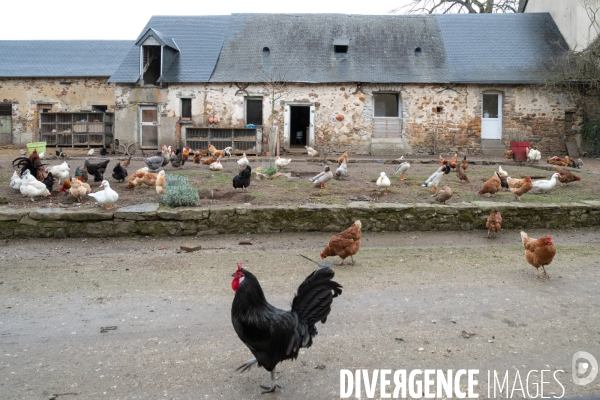 Ferme en vente directe
