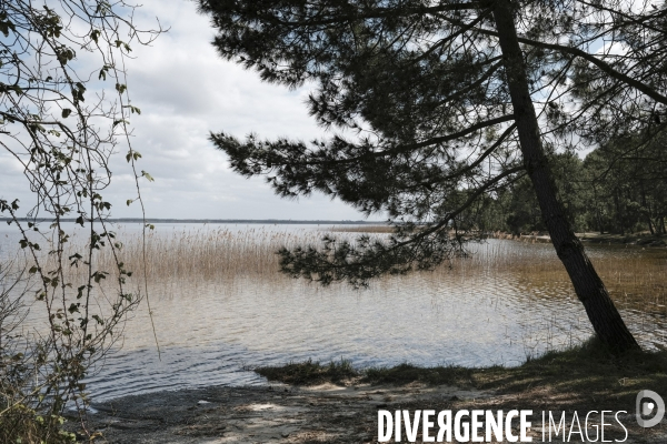 Le lac de Hourtin-Carcans est le plus grand lac naturel d eau douce de France