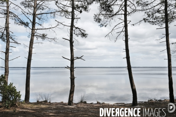 Le lac de Hourtin-Carcans est le plus grand lac naturel d eau douce de France