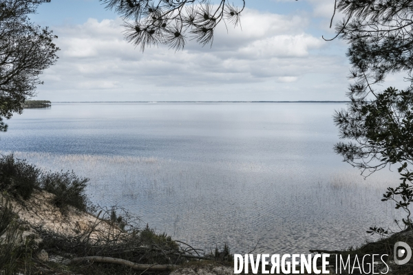 Le lac de Hourtin-Carcans est le plus grand lac naturel d eau douce de France