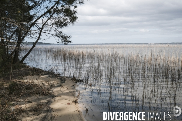 Le lac de Hourtin-Carcans est le plus grand lac naturel d eau douce de France