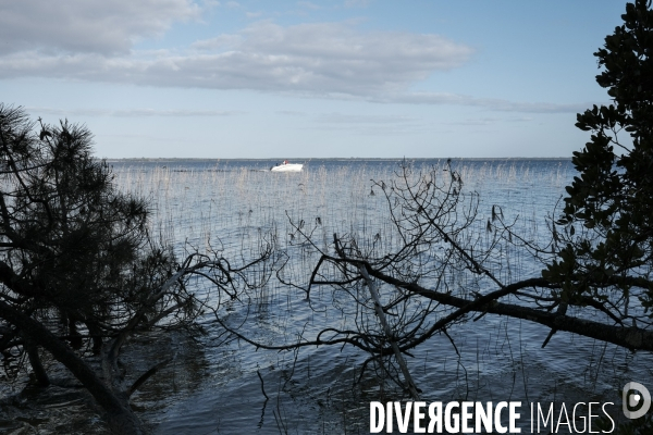 Le lac de Hourtin-Carcans est le plus grand lac naturel d eau douce de France