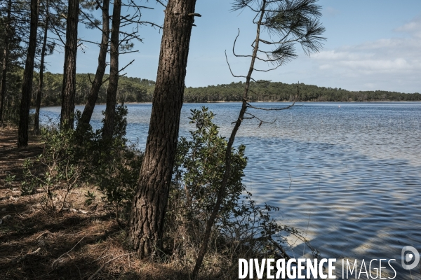 Le lac de Hourtin-Carcans est le plus grand lac naturel d eau douce de France