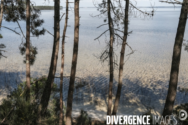 Le lac de Hourtin-Carcans est le plus grand lac naturel d eau douce de France