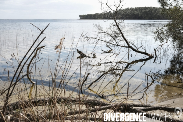 Le lac de Hourtin-Carcans est le plus grand lac naturel d eau douce de France