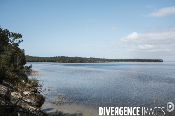 Le lac de Hourtin-Carcans est le plus grand lac naturel d eau douce de France