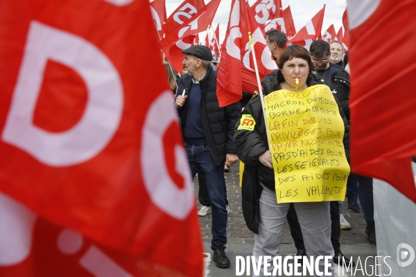 Bordeaux, 8 ème manifestation contre la réforme des retraites.