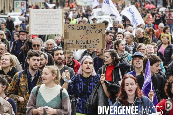 Bordeaux, 8 ème manifestation contre la réforme des retraites.