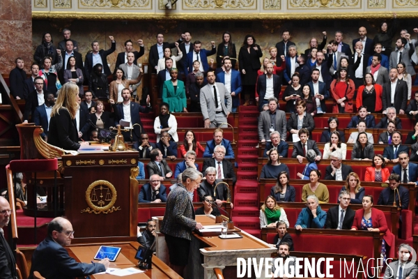 Reforme des retraites / 49.3 à l Assemblee Nationale