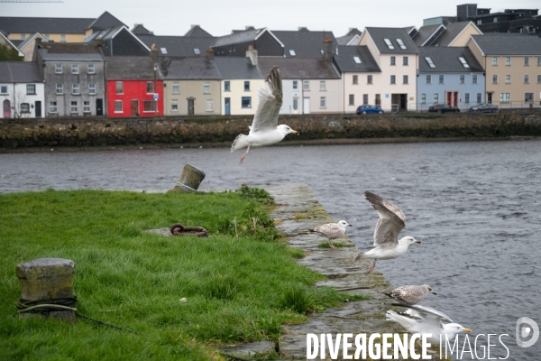 Galway. Irlande