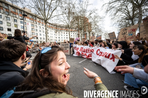 Toulouse : 9eme manifestation contre la reforme de la retraite