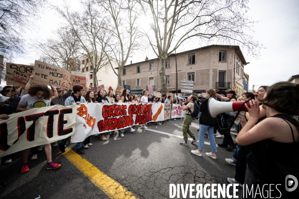 Toulouse : 9eme manifestation contre la reforme de la retraite