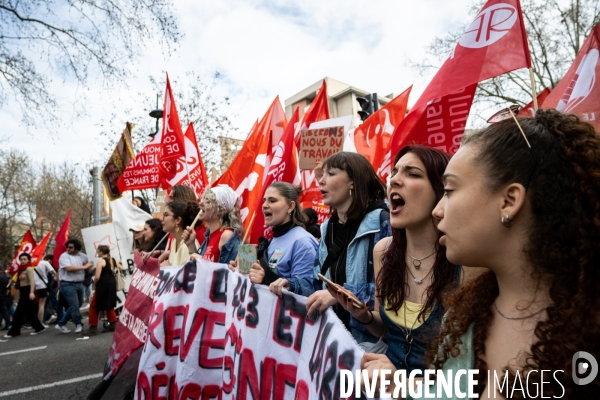 Toulouse : 9eme manifestation contre la reforme de la retraite