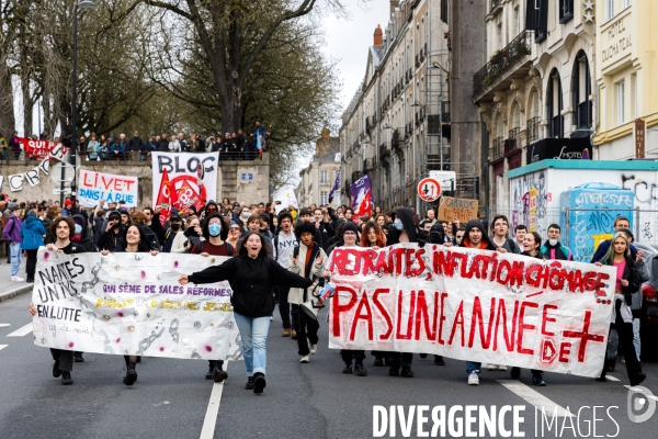 Neuvième journée de mobilisation contre la réforme des retraites à Nantes