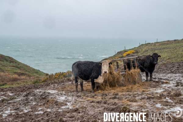 Irlande