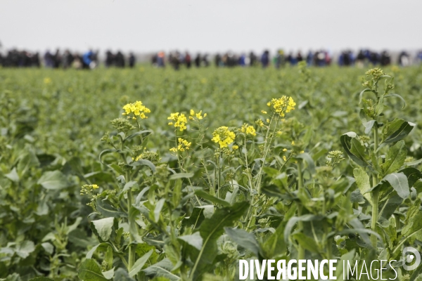 Rassemblement contre la construction de mégabassines à Sainte-Soline.