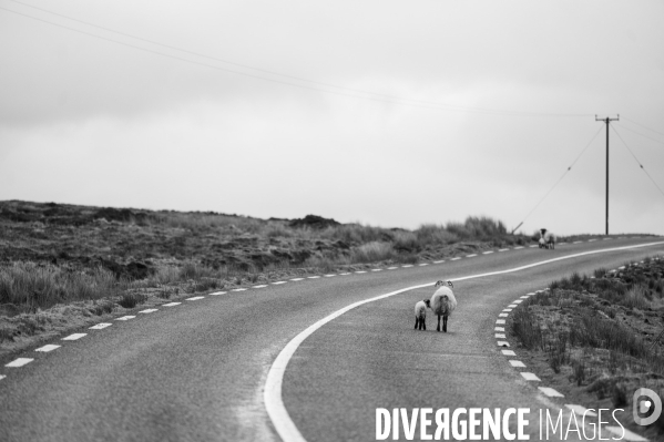 Irlande