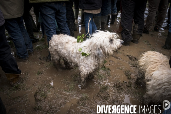 Cultiver la resistence
